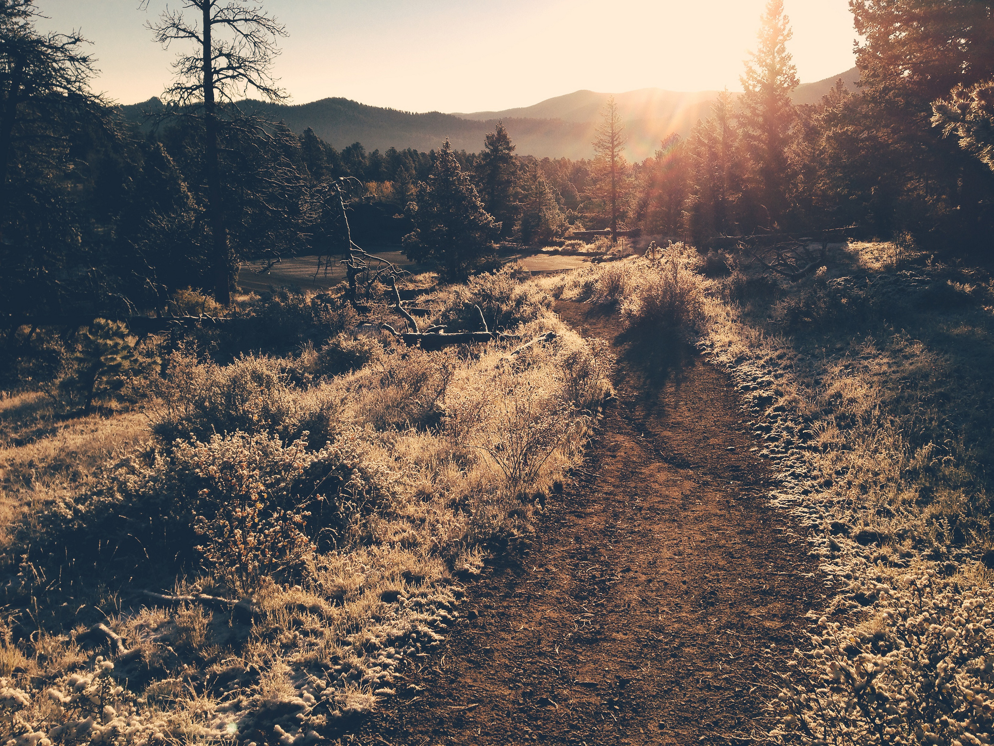 Freedom Is Dangerous