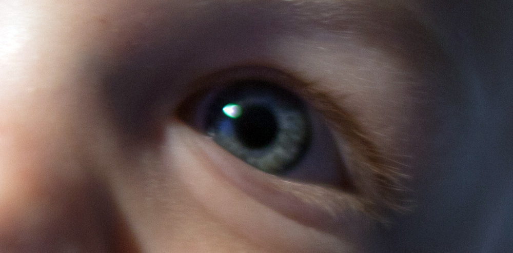 The Secret Life of Children